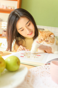 伊人查蕉